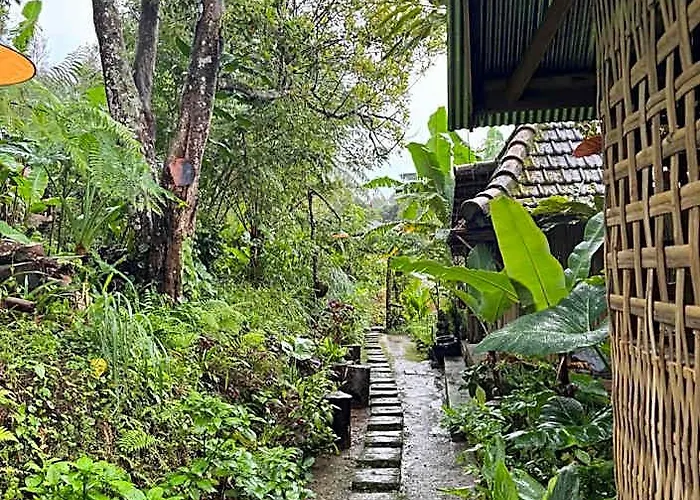 Sang Natha - Kopi Tiam & Agro *