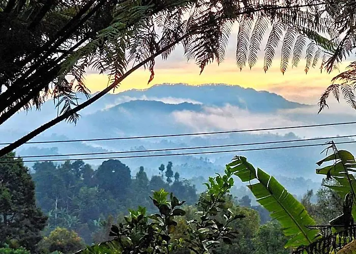Sang Natha - Kopi Tiam & Agro * Tjatur