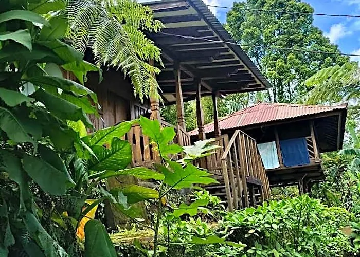 Sang Natha - Kopi Tiam & Agro * Tjatur